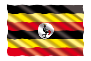 Uganda NKG Kaweri Colobus