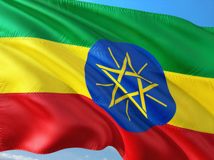 Ethiopia Sidamo washed