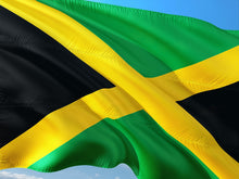 Load image into Gallery viewer, Jamaican Style Blend