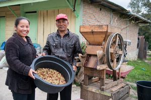Indonesia Sumatra Mandheling Fairtrade Organic
